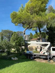 ASP Espaces Vert à Arles