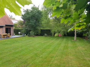 Plus qu’un jardin à Bois-Grenier