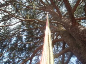 des cordes à mon arbre à Bourg-Saint-Maurice