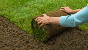 Paysagiste Élagage abattage jardinage à Bussy-Saint-Georges