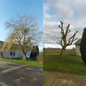 Wn.jardinier paysagiste élagueur pose de clôture à Tourville-la-Rivière