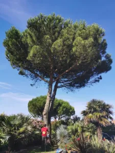 Brin de Paysage à Agris