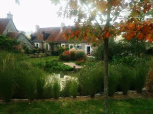 JADE / Paysagiste Concepteur à Selles-sur-Cher