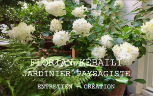 Florian Kébaïli – Jardinier paysagiste à Paris