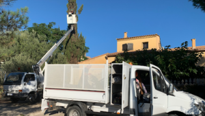 Allô Élagueur De LHérault à Cournonterral