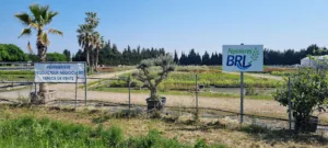 Pépinières B.R.L. Espaces Naturels à Vestric-et-Candiac