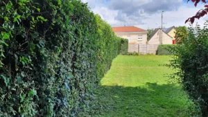CGMULTISERVICES: Elagage, taille de haies et d’arbres sur Angers et ses alentours à Les Hauts-d'Anjou