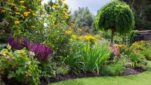 SARL MARC PARKS AND GARDENS à Albi
