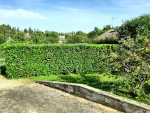 Schartier Thierry à Vierzon