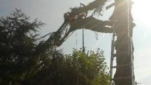 Sébastien espaces verts et elagages à Cieutat