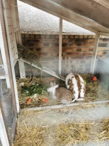 VERT-TIGE SARL à Saint-Maur-des-Fossés