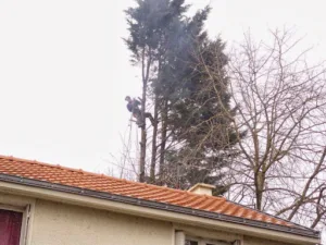 sos entretien de jardin à Nantes