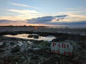Rhuys Paysage à Arzon