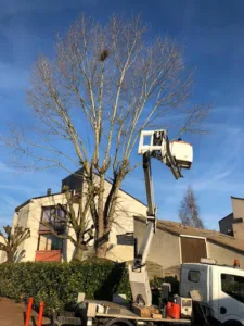 M. Lamon à Champigny-sur-Marne
