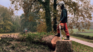 en Haut Garden à Châtel-de-Neuvre