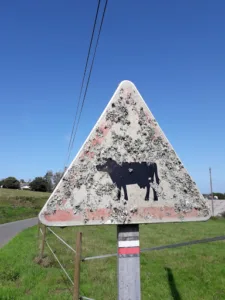 Entreprise de Territoire Efflam à Trémel