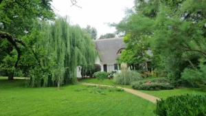 PERFECT LANDSCAPE D’EMILIO – Jardinier/Paysagiste 77 à La Ferté-Gaucher