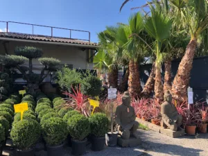 Jardi Creation à Pins-Justaret
