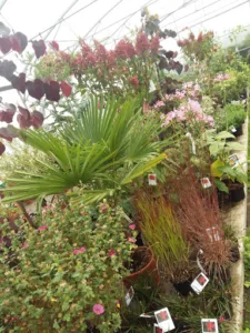 Jardin Du Val De See à Sourdeval