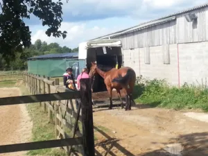 Ridel Dominique à Le Mesnil-sur-Blangy