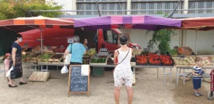 Homeservice33.fr – Paysagiste Saint-Loubès à Saint-Loubès
