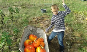 H2P Jardins à Marcilly-sur-Vienne