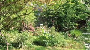 Au Coeur du Bois à Arbonne