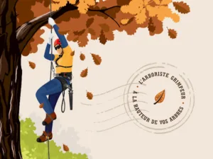 La Dragonne Arboriste Grimpeur – Stéphane Goulet à Courbouzon