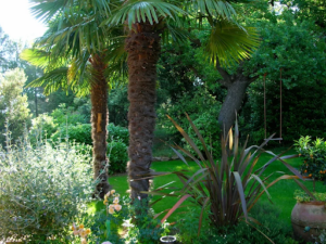 Alexandre Jardins Création de Jardin et Paysagiste à Lambesc