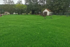 Castagnous Paysage à Arthez-de-Béarn