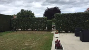Les Jardins d’Alex Jardinier Paysagiste Valsemé à Valsemé