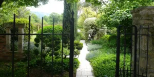 Mickael – Jardinier – Cmonjardinier à Pertuis