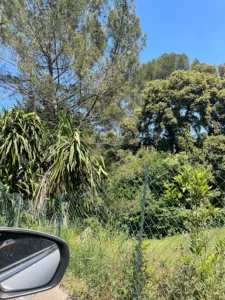 Nature et Jardin à Vallauris