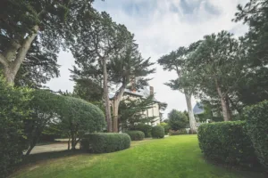 Jardinier Malin à Carquefou