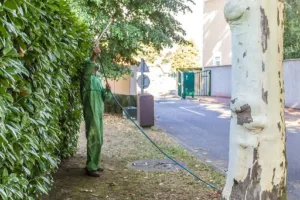 Rambaud Espaces Verts SARL à Décines-Charpieu