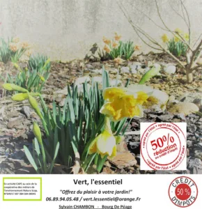 Vert, L’essentiel Paysagiste à Bourg-de-Péage
