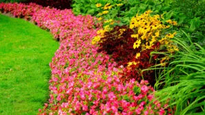 Jardins des 4 saisons à Beaupréau-en-Mauges