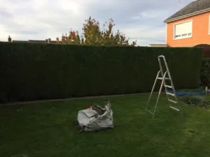 Artois Concept Paysage – Paysagiste Cmonjardinier à Hersin-Coupigny