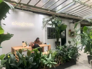 aKagreen à Paris