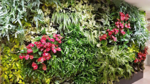Nature d’intérieur à Fretin