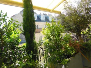 Parisbalcon Paysagiste à Paris
