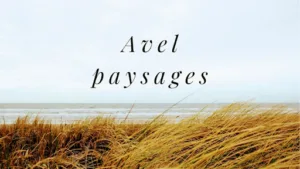 Avel Paysages à Saint-Yvi