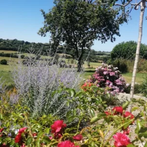 BROUQUEL PAYSAGES à Douarnenez