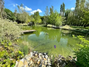 Ambiance paysage à Fontaine-la-Louvet