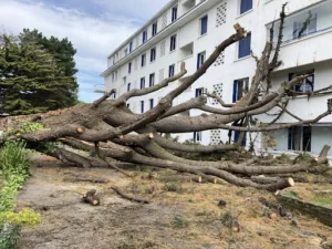 ENTREPRISE TRIMAUD à Saint-Nazaire