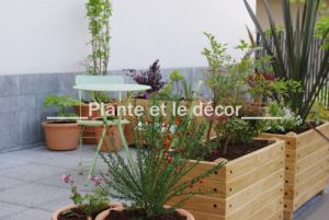Plante et le Décor à Saint-Fons