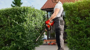 ADH SERVICES 45 – Entretien Jardin Élagage Orléans à Saint-Jean-le-Blanc