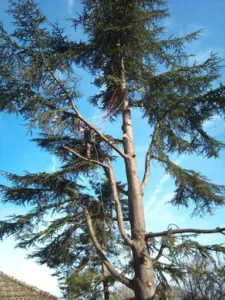 Avenir Création à Draveil