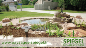 PAYSAGES SPIEGEL Jean-Luc à Illhaeusern