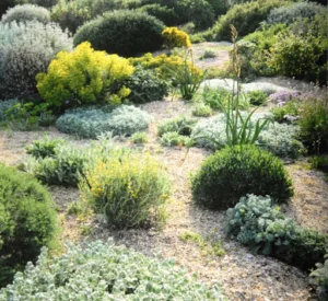 Jardin de Garrigue à Vinassan